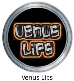 Venus Lips