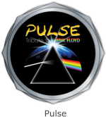 Pulse