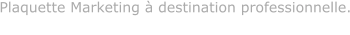 Plaquette Marketing à destination professionnelle. © www.ftf-music.com